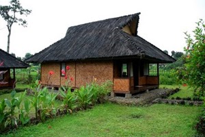 Tugas-Tugas Sekolah: Gambar Rumah Adat 34 Provinsi di ...