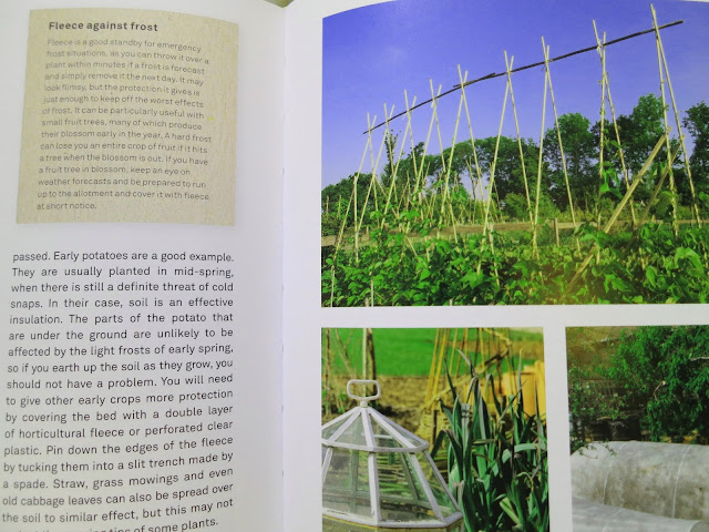 Photo of page 147 from RHS: Half-Hour Allotment by Lia Leenderzt.