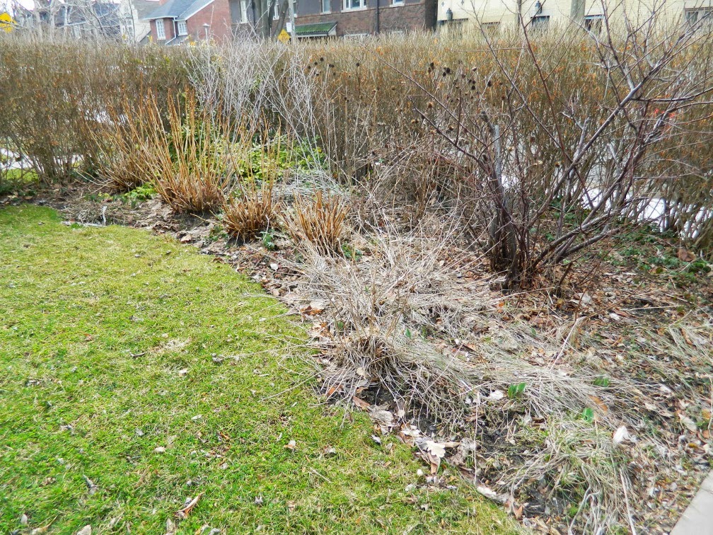 Roxborough West spring cleanup before Paul Jung Gardening Services Toronto Roxborough West spring cleanup before Paul Jung Gardening Services Toronto