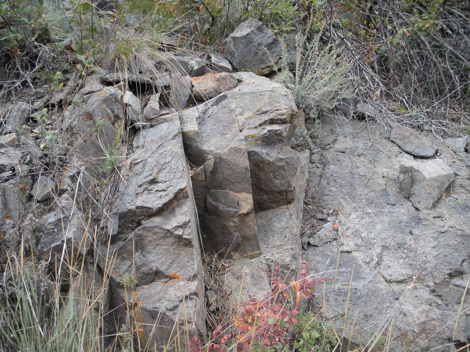 CSMS GEOLOGY POST SIGNAL BUTTE A GEOLOGICAL ODDITY