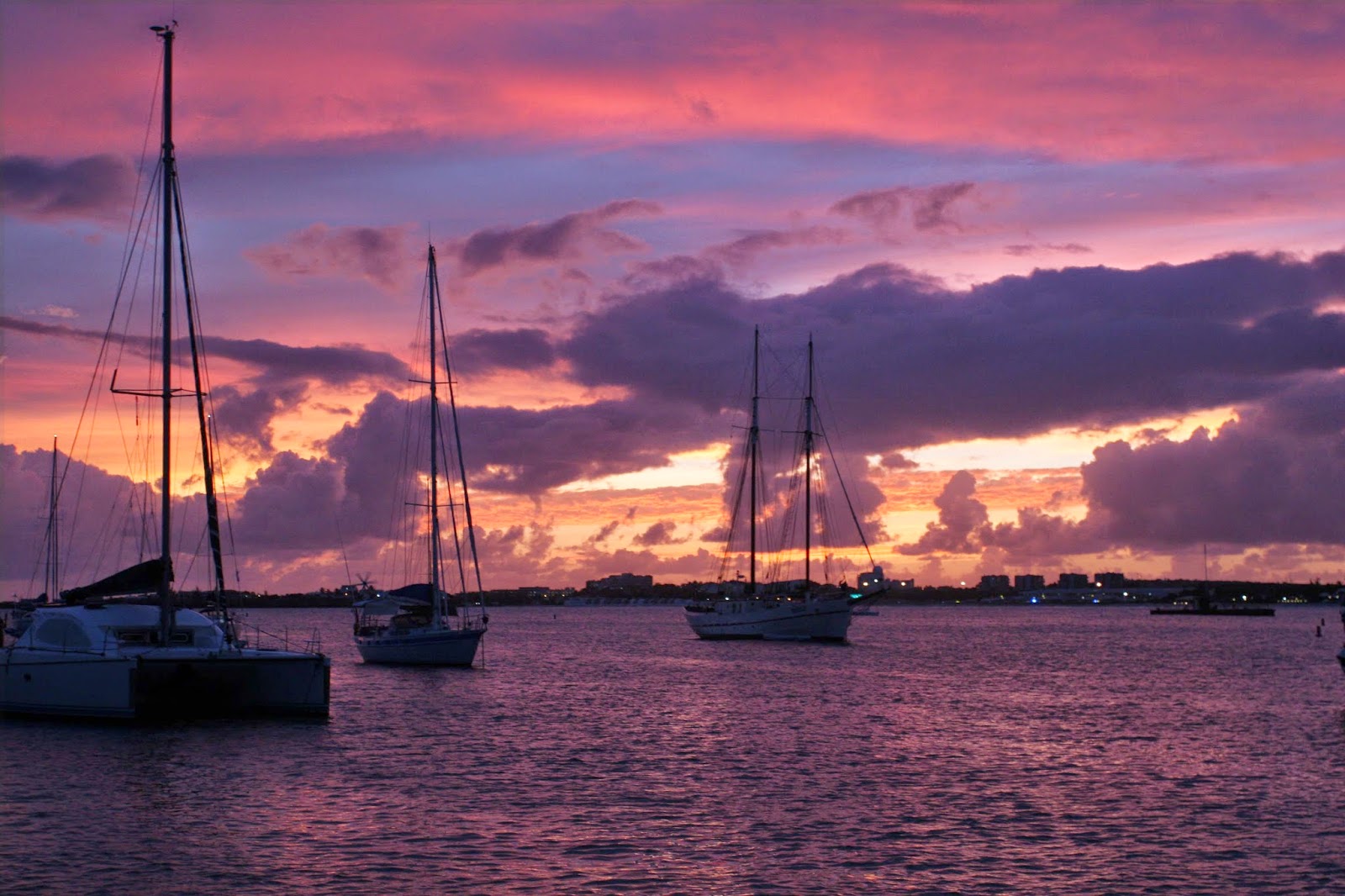 A Catholic Life St Martin S Lent