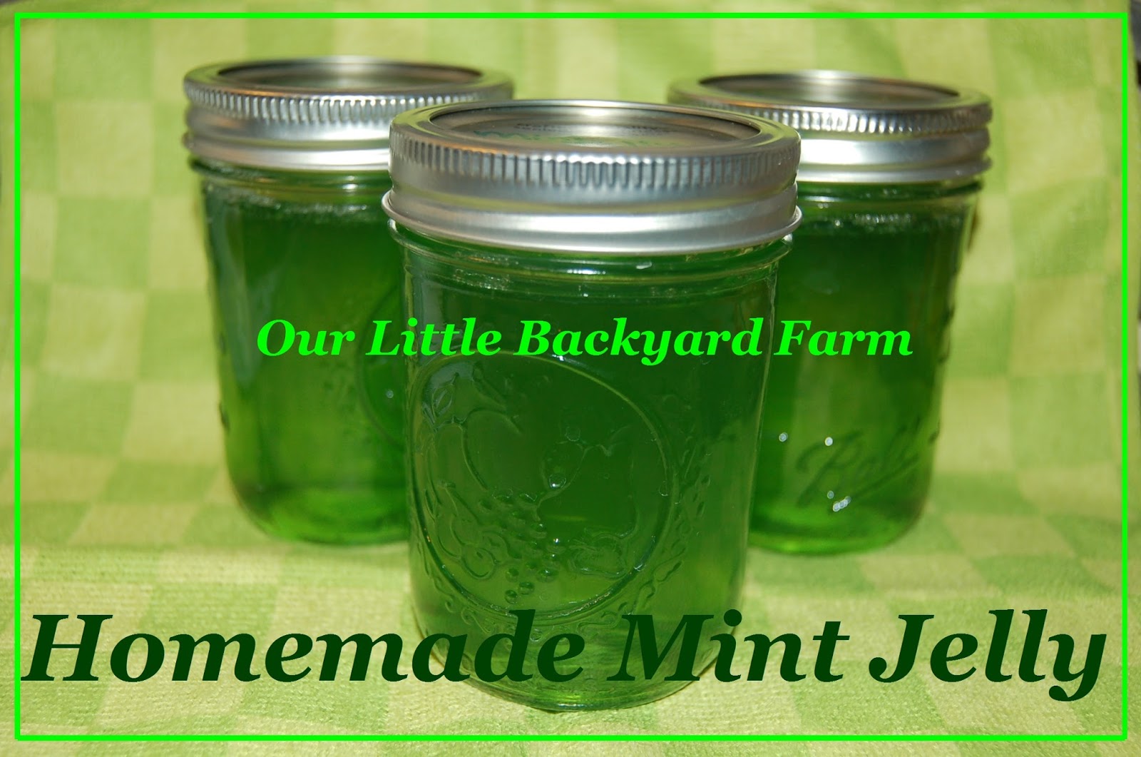 Our Little Backyard Farm Homemade Mint Jelly Recipe