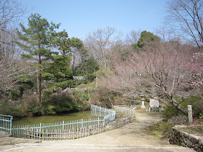 兵庫県・中山寺の梅林