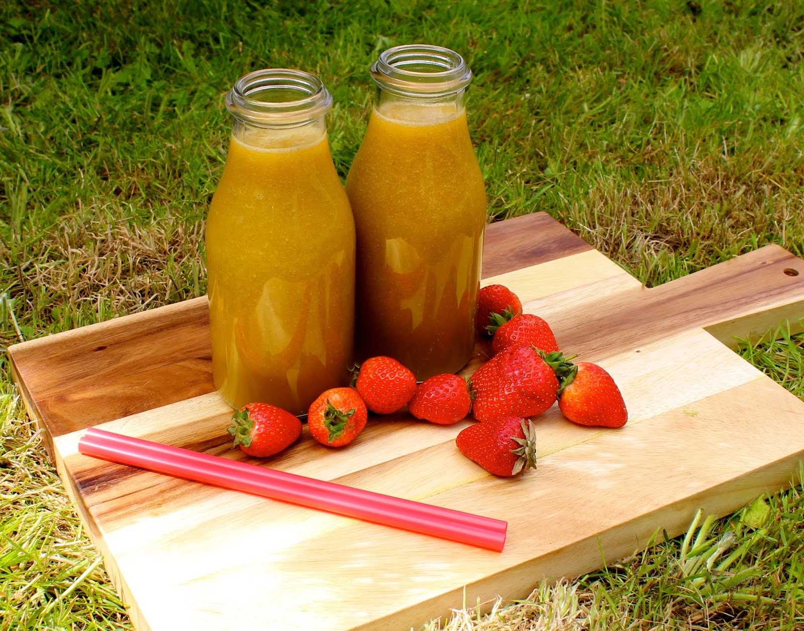 The Juice Life Shirin Saluja