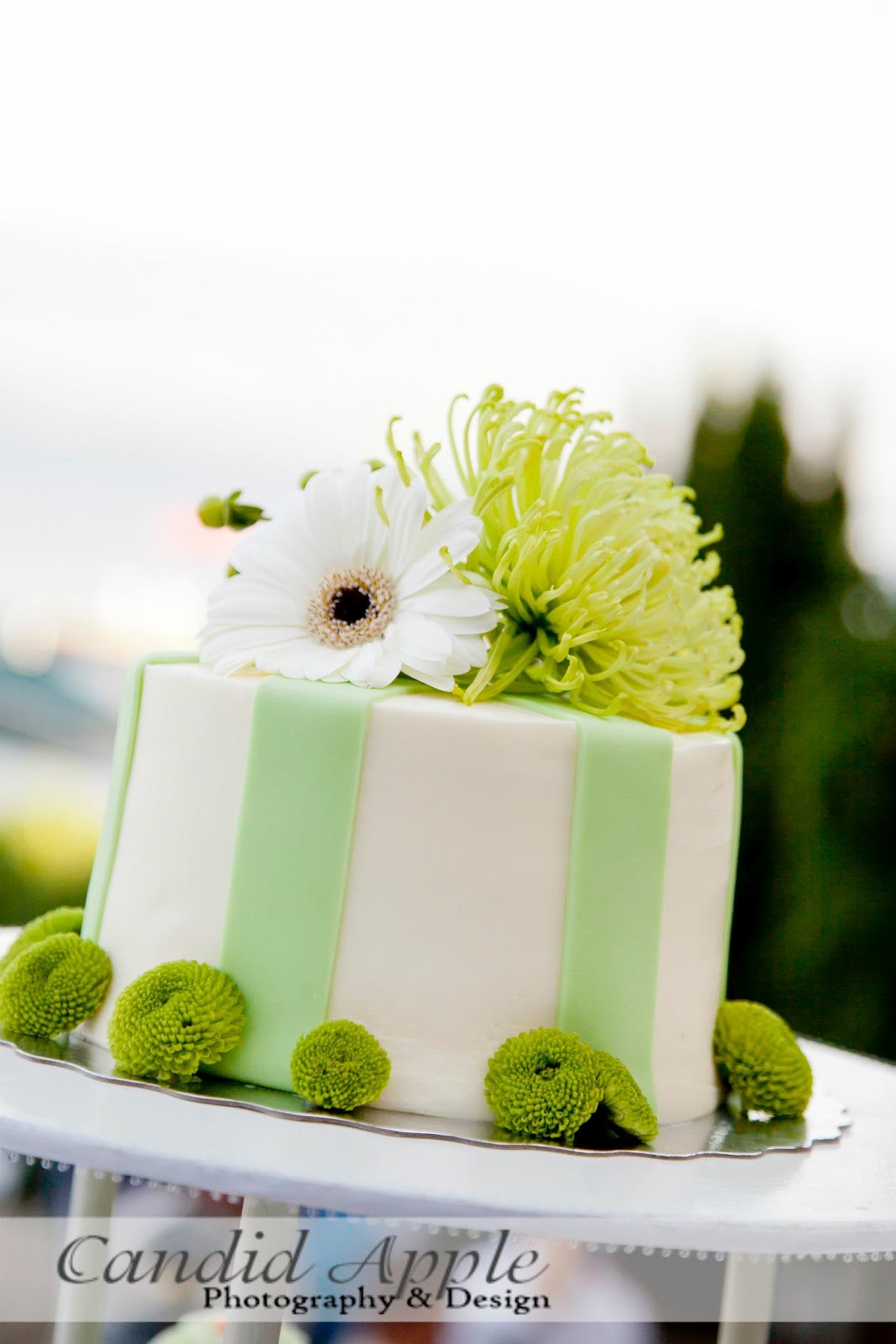 Sugar Sweet Cake Company Sugar Sweet Weddings