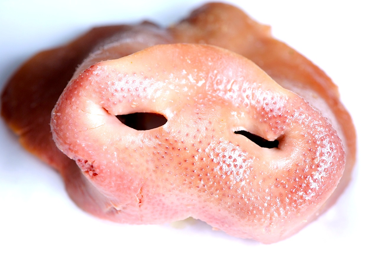 JULES FOOD... Queso de Puerco...Pig's Head Cheese