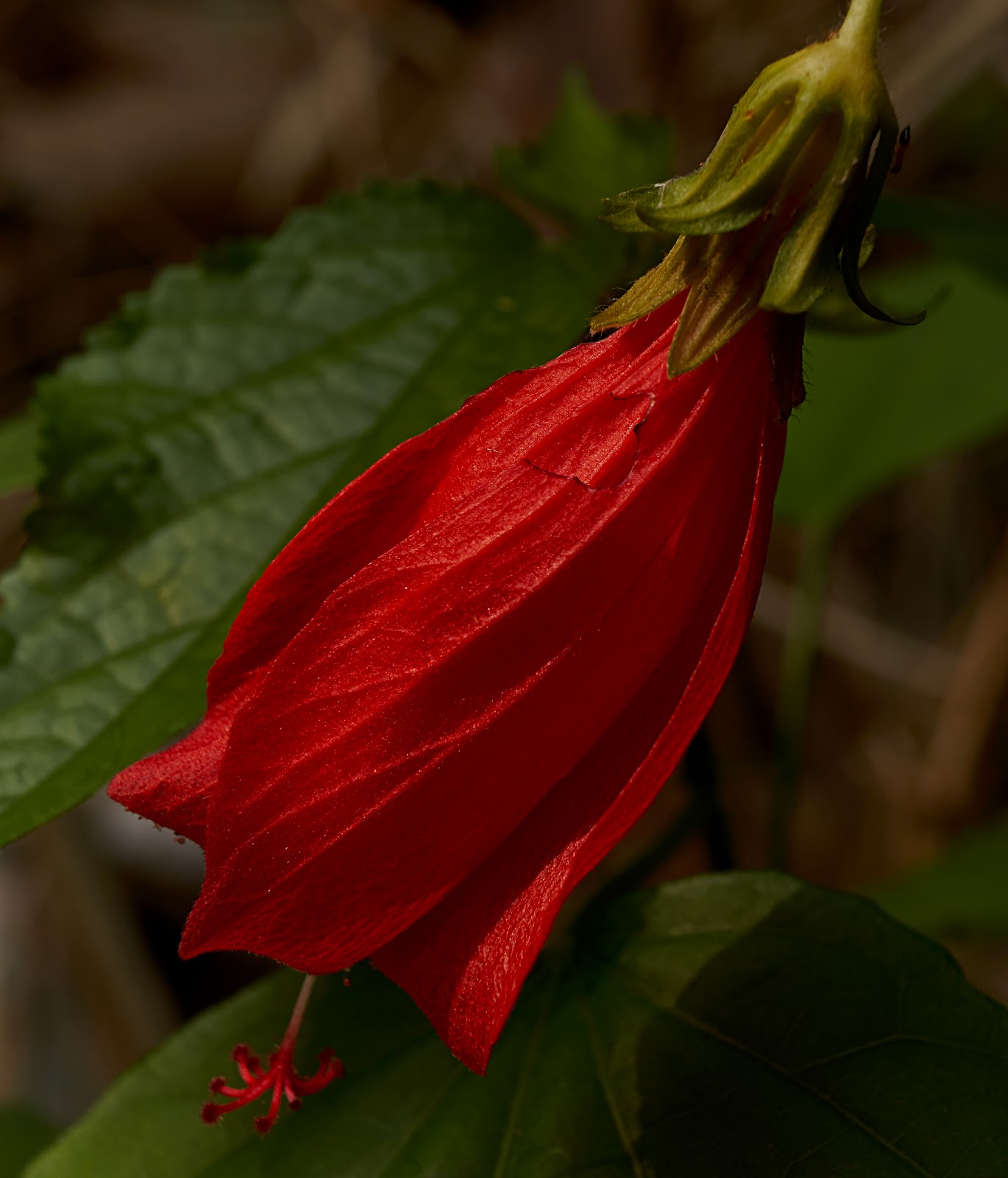 Expressing a feeling