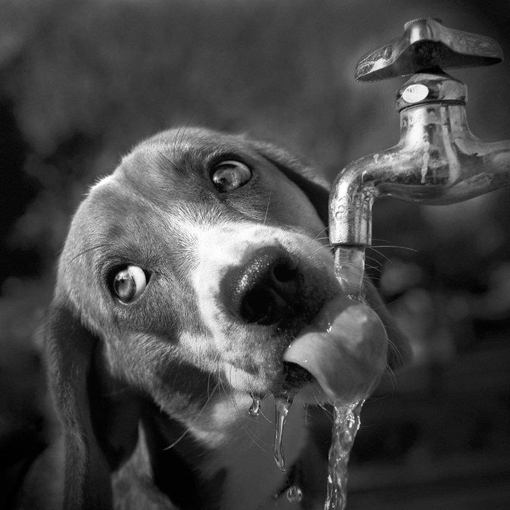 bannersuicinkC3B6peksiyahbeyaz