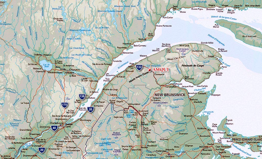 Honey Archives Star Thistle (Centaurée) Honey, Maria, Gaspésie, Québec