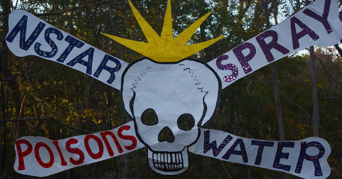 Chezsven Blog: Wellfleet Today: Cape Cod Times Publishes Op-Ed on