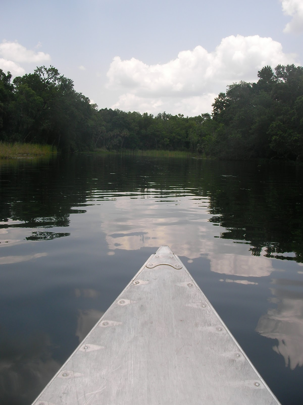 The "Unknown" Florida Alexander Springs Altoona, FL