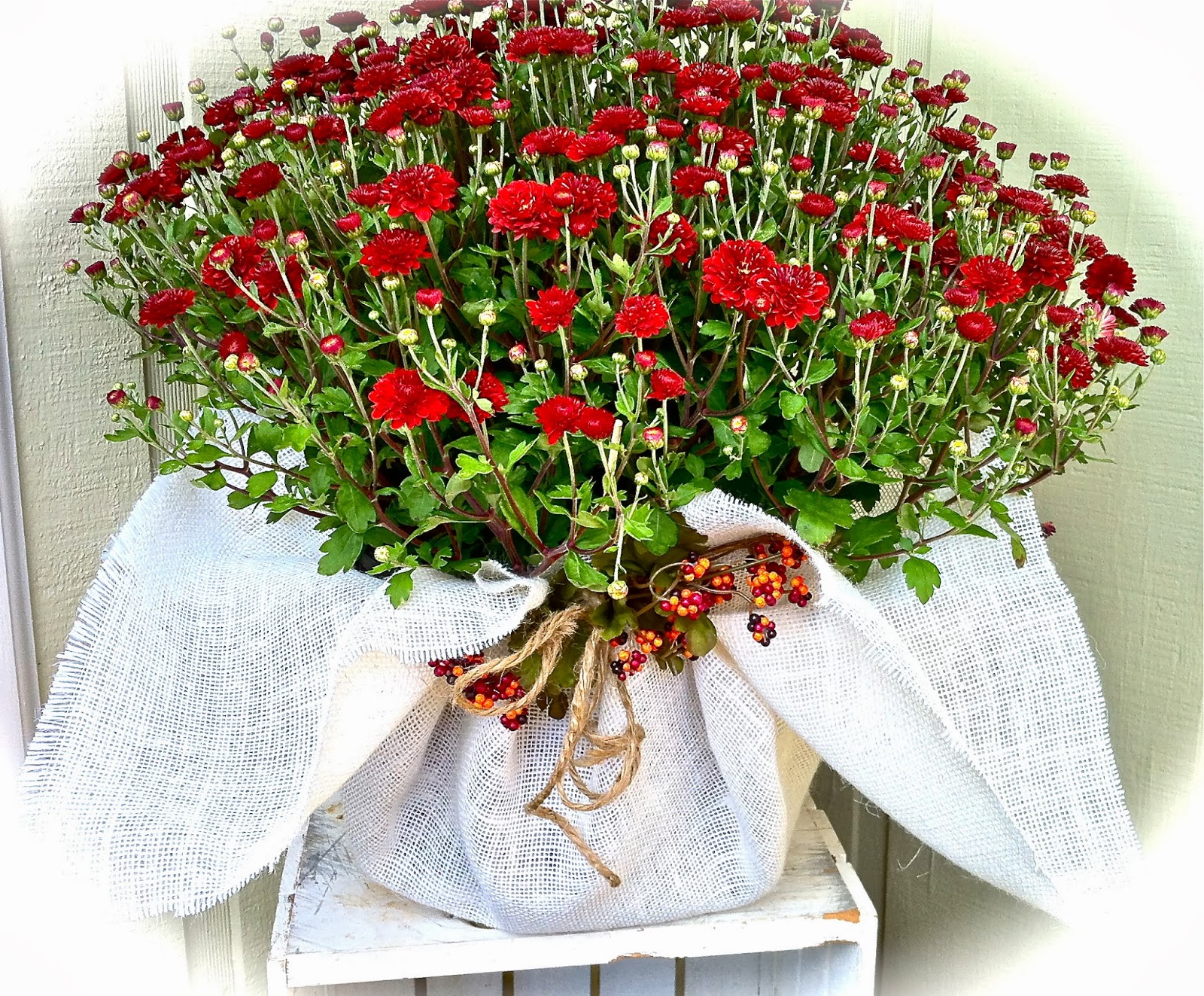 Everyday Donna How To Decorate Potted Plants With Burlap