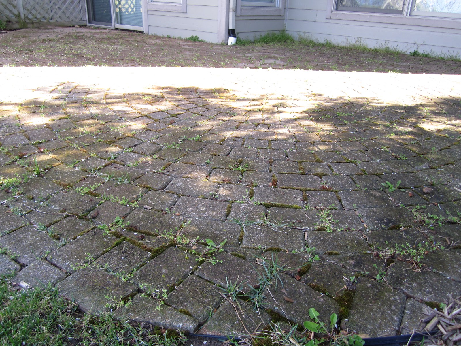 Brick Doctor Bill Pavers Patio Repair Cleaning Resanding In