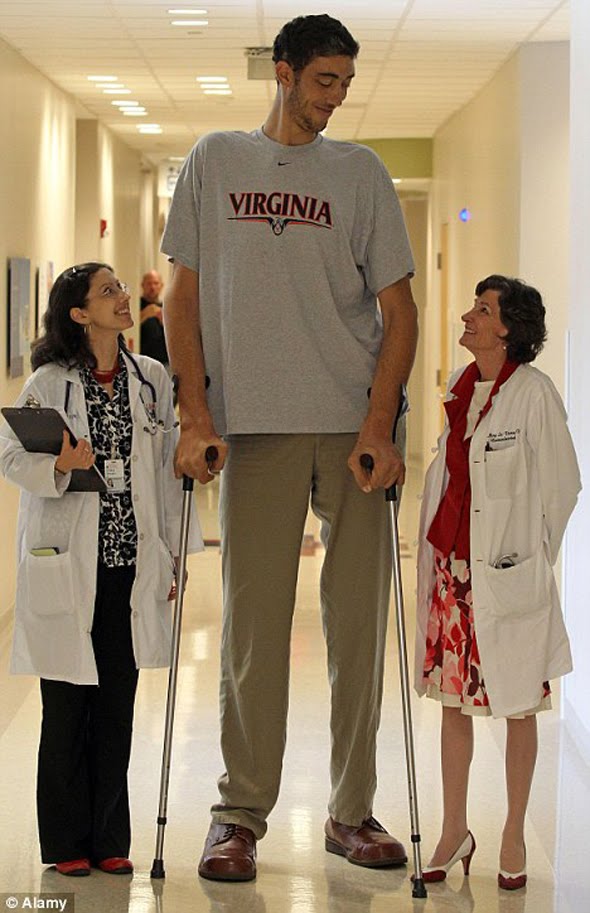 Tallest midget in the world