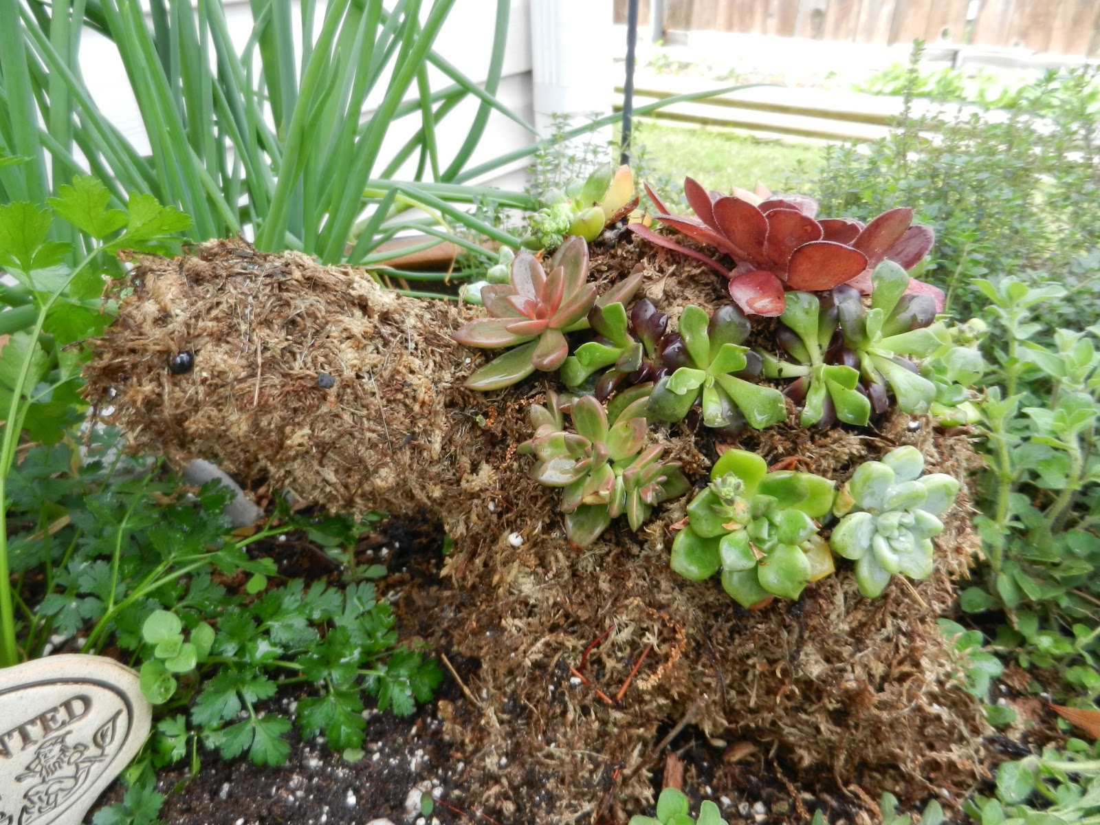 Yarni Gras! Turtle Topiary Tutorial