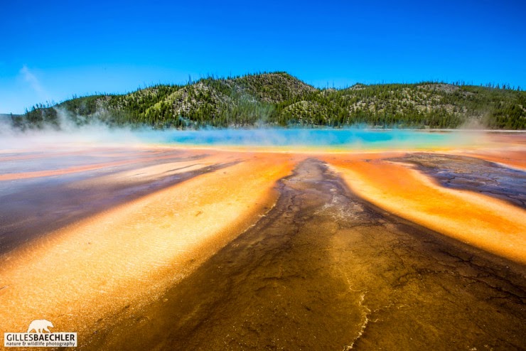 The Multicolored Hot Grand Prismatic Spring in Yellowstone, USA The Multicolored Hot Grand Prismatic Spring in Yellowstone, USA