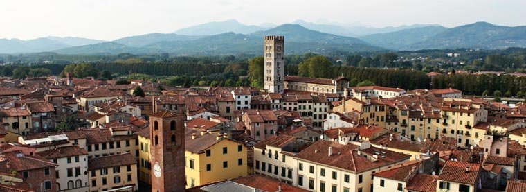 Dobre zene oko moga stola dobre zene oko moga stola