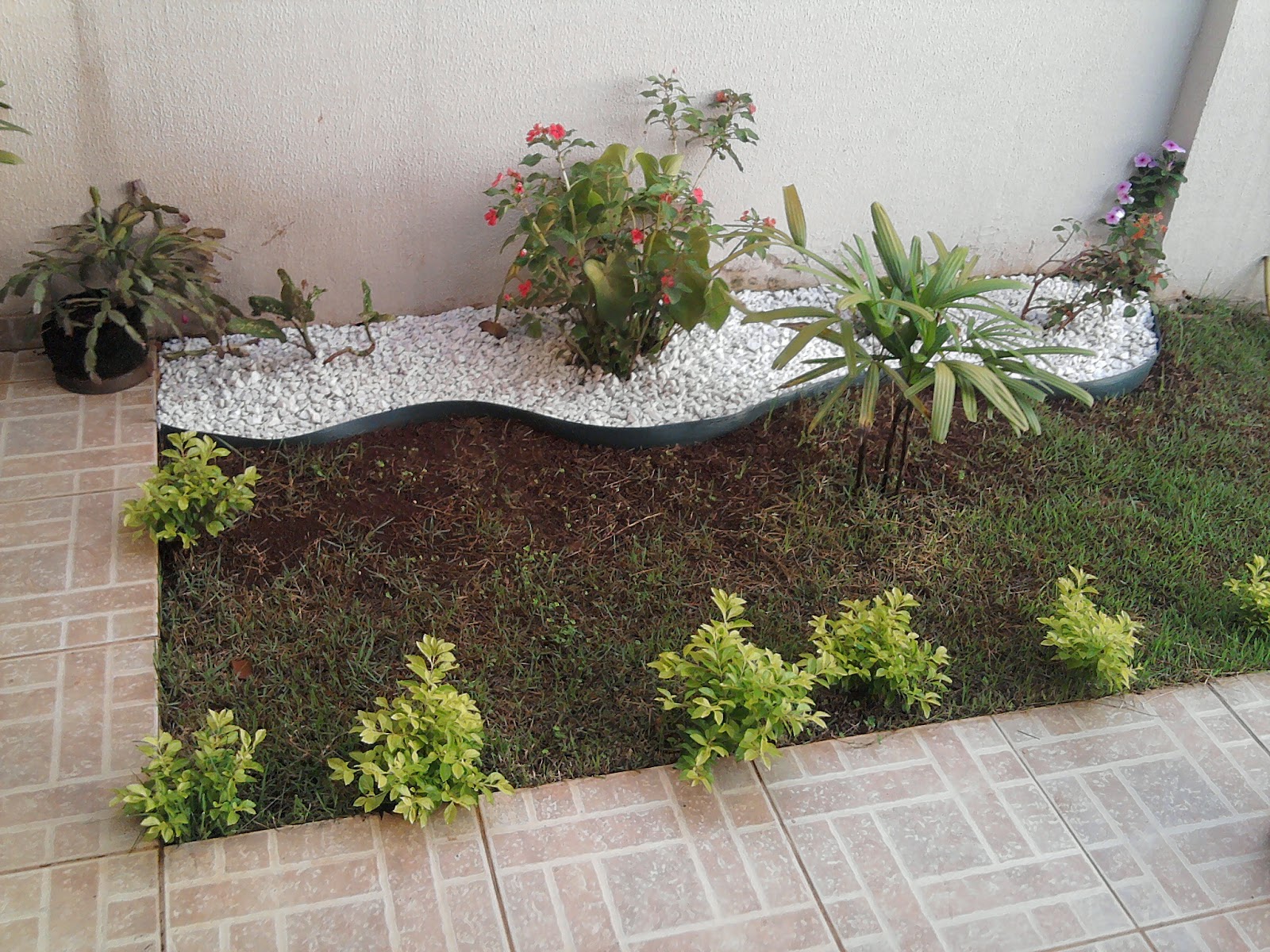 Mais que Amélias... Como fazer um jardim em sua casa