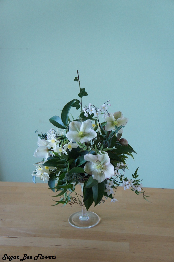 Sugar Bee Flowers Hellebore