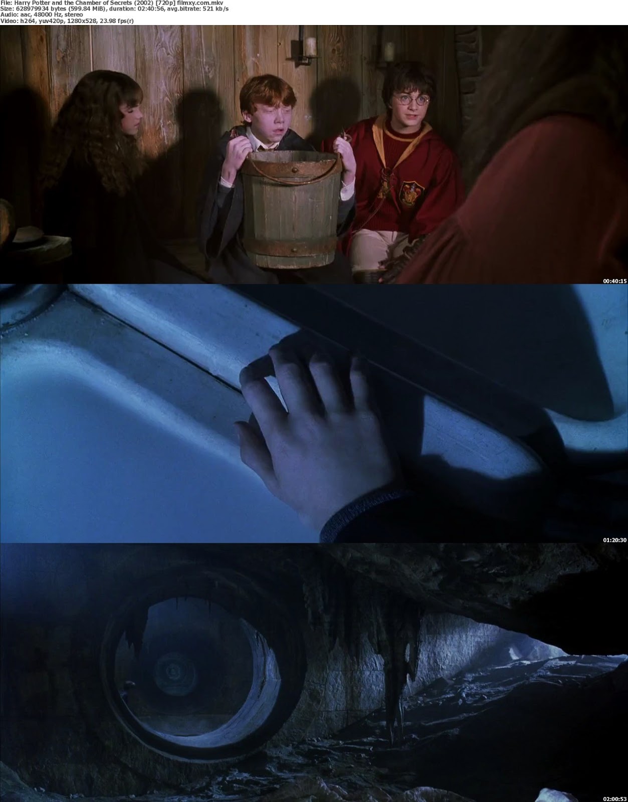 Harry Potter And The Chamber Of Secrets Dual Audio 1080p 26