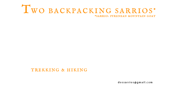 Two backpacking sarrios