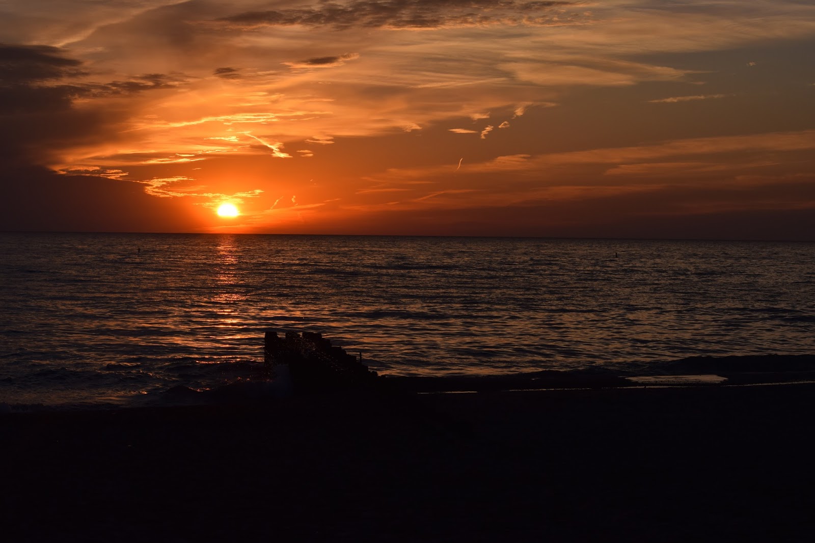Lake Michigan Sunrise Floradise