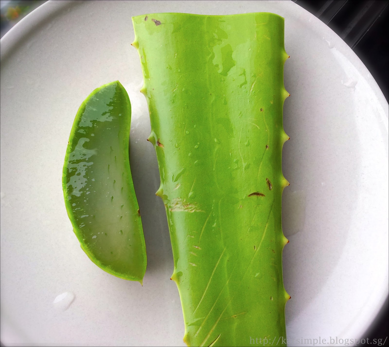 Karlim Photoblog Aloe Vera Honey Lemon 芦荟柠檬蜜糖