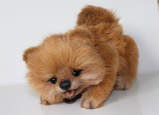 Как сделать игрушку скелет. Смотреть фото Как сделать игрушку скелет. Смотреть картинку Как сделать игрушку скелет. Картинка про Как сделать игрушку скелет. Фото Как сделать игрушку скелет Как сделать игрушку скелет. Смотреть фото Как сделать игрушку скелет. Смотреть картинку Как сделать игрушку скелет. Картинка про Как сделать игрушку скелет. Фото Как сделать игрушку скелет