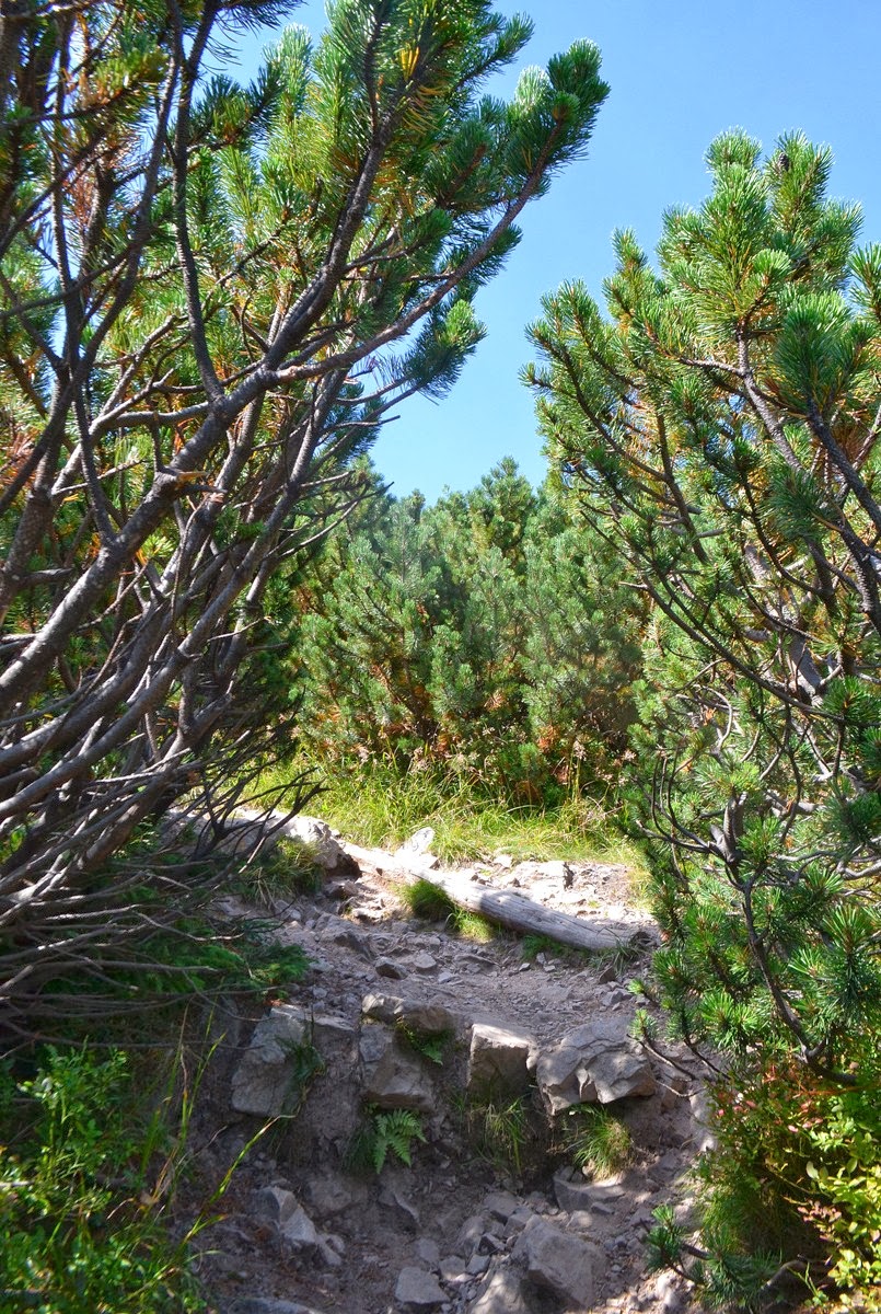 Cudowny Świat: Tatry - Grześ, Rakoń, Wołowiec
