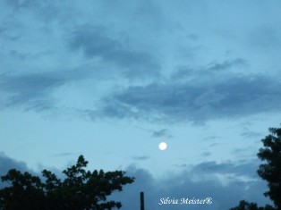 Lua Cheia...