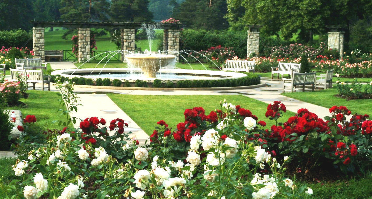 MyTexasGardens Herb of the Year for 2012...a beautiful surprise!