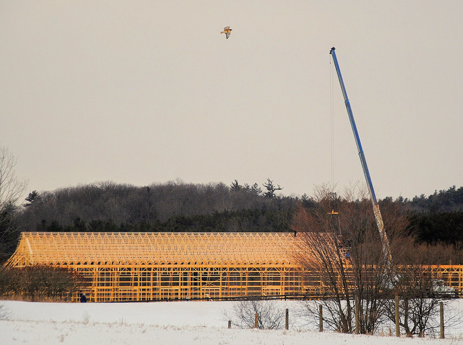 Camera On King Barns Come And Go