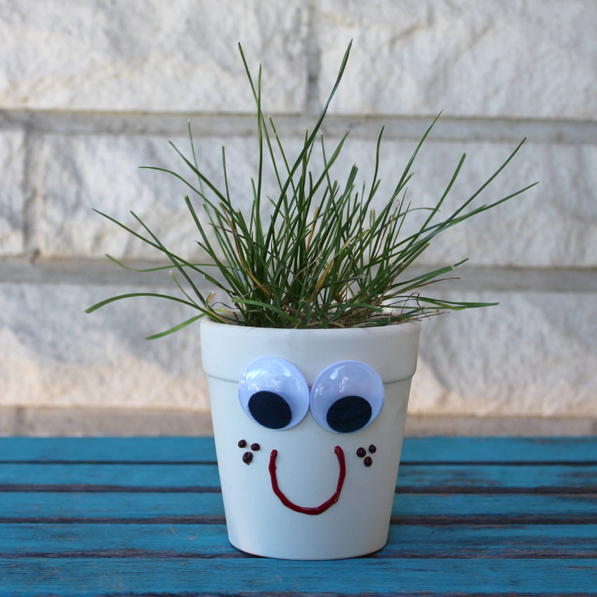 Easy Grass Head Planter Craft for Kids