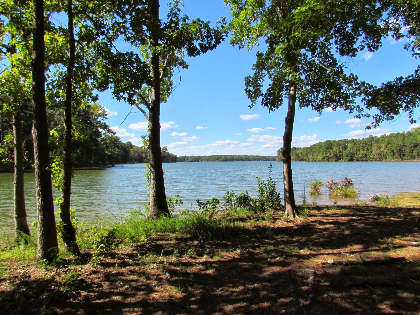 Roving Reports by Doug P: 2013-33 LaGrange & West Point Georgia