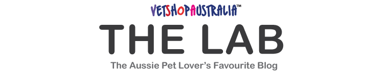 The Lab AU  | VetShopAustralia.com.au Official Blog