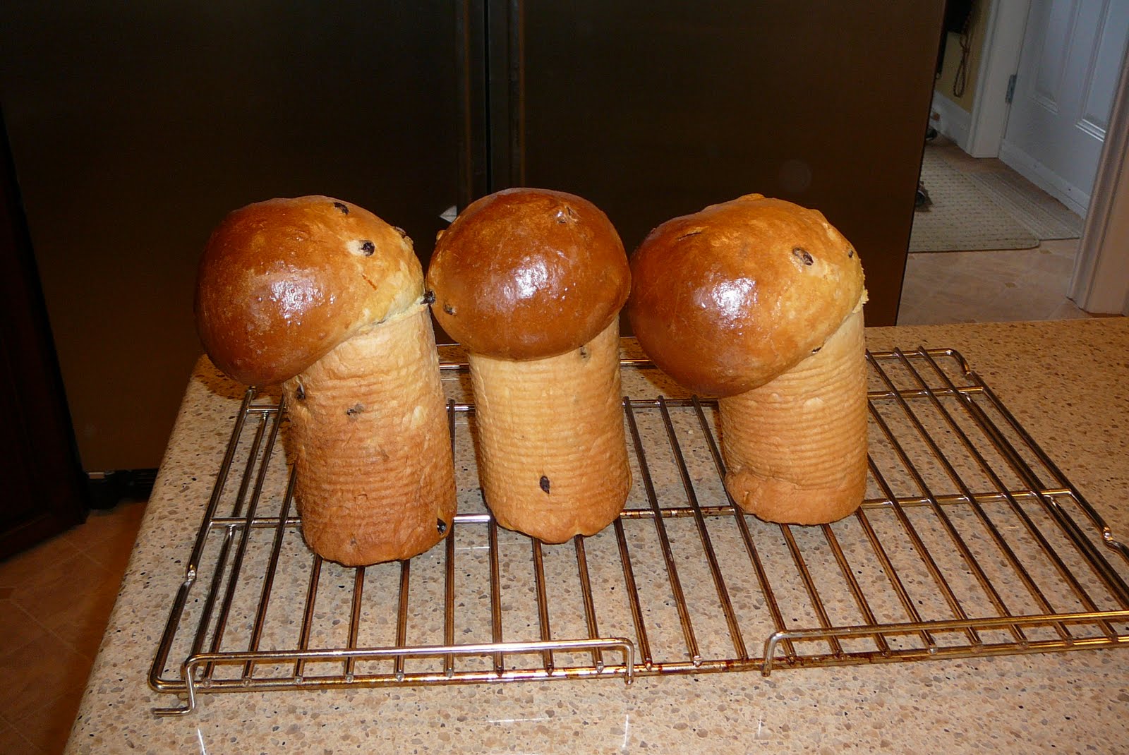 Rise and Bake! Babka (Ukrainian Easter Raisin Bread)
