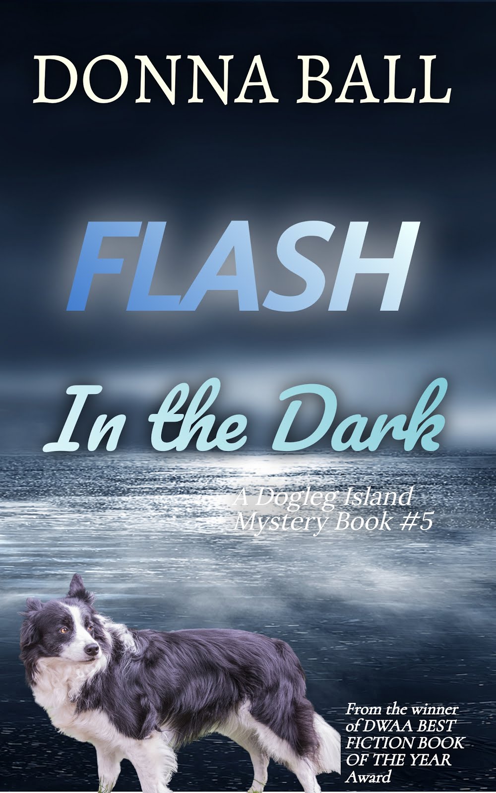 Flash in the Dark