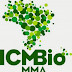 Instituto Chico Mendes de Conservação da Bioversidade (ICMBio) abre 271 vagas em cargos de nível médio e superior em todo o Brasil. Remuneração chega a 6,4 mil reais