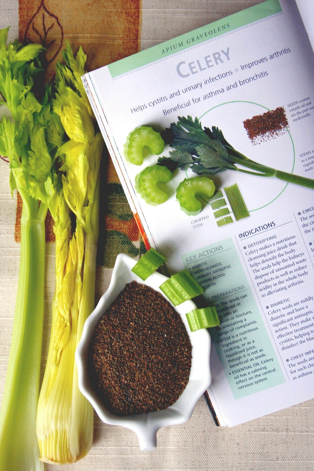 define celery