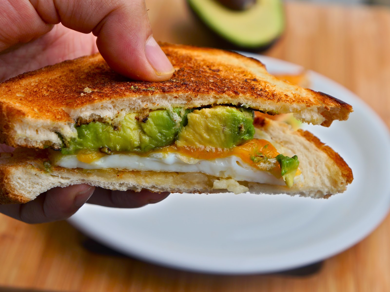 fried egg cheese avocado sandwich
