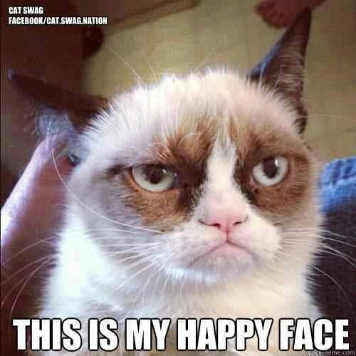 grumpy+cat+2.jpg