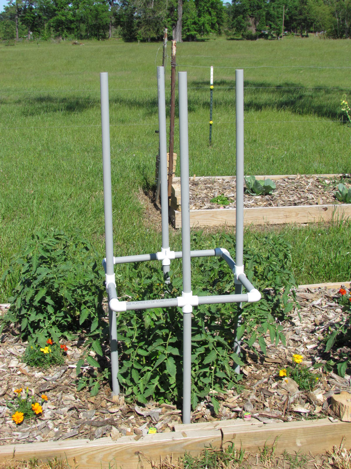 The Big Heat In Pursuit of the Perfect Tomato PVC Tomato Cages with