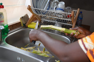 BetumiBlog: Pure Sugar Cane: Swizzle Sticks to Snacks