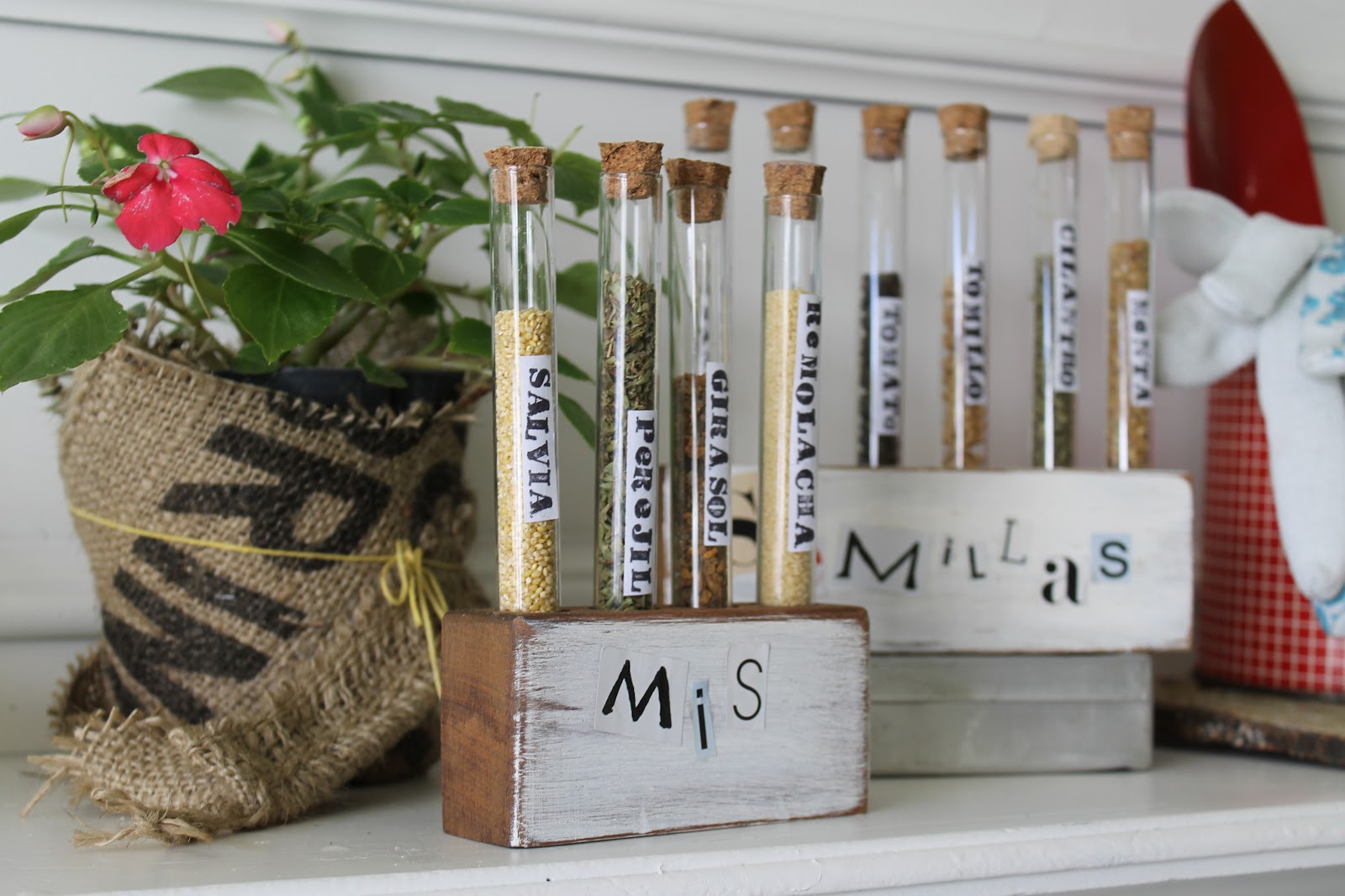 Colaboración: programa Jardineras - Utilísima / Deco Marce