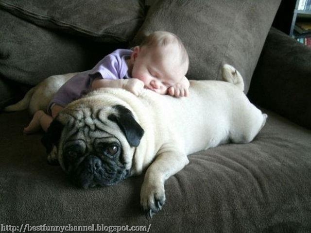 Cute baby and dog.