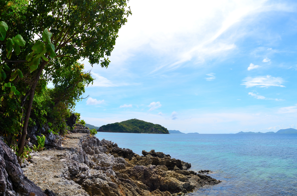 rr magazine RAVE Flower Island