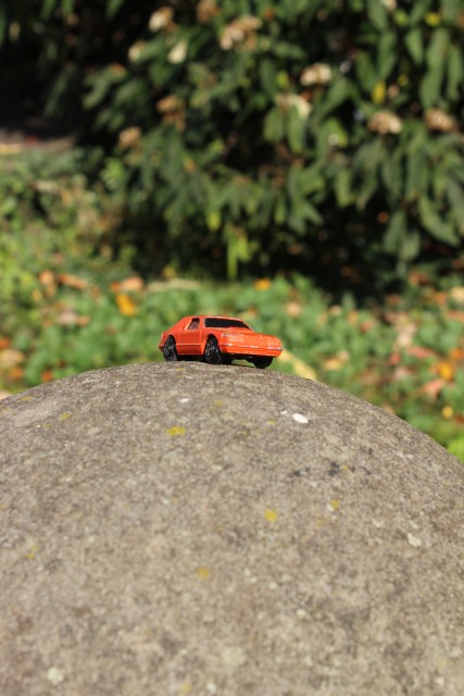 Next Chapter Happiness