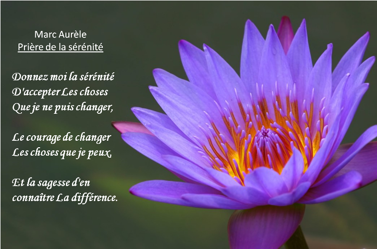 Citations et Panneaux Facebook à partager Accepter ce qu Citations et Panneaux Facebook à partager Accepter ce qu