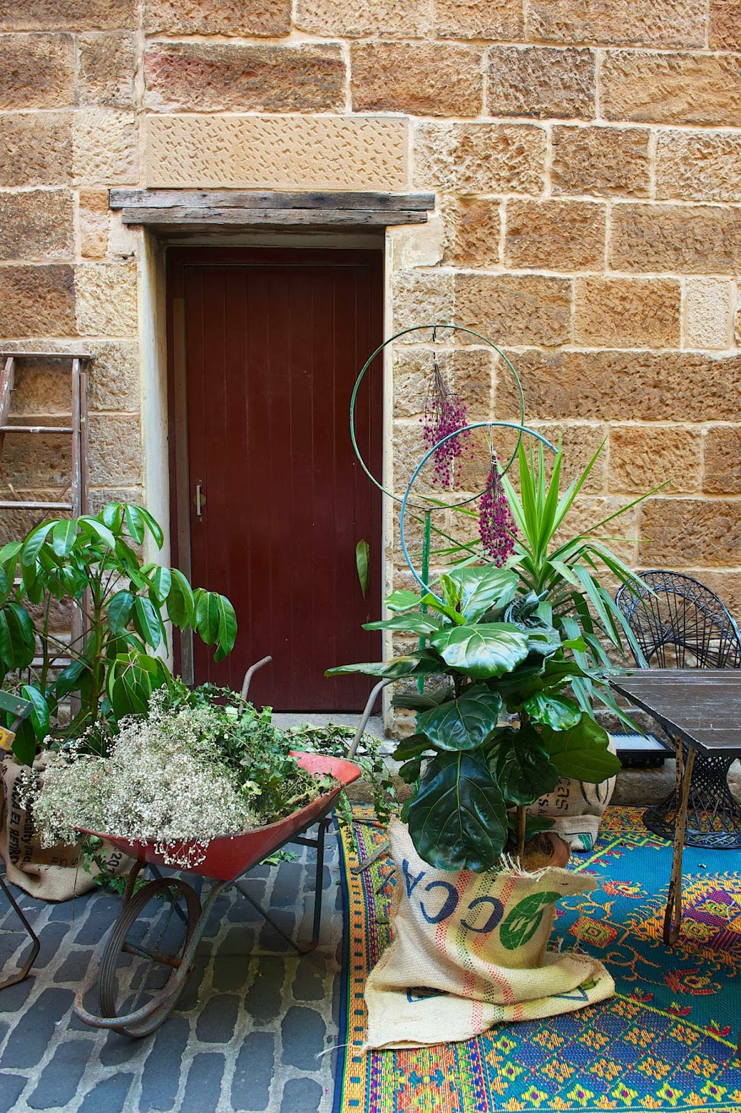 paradis express Gumtree Garden, Australia