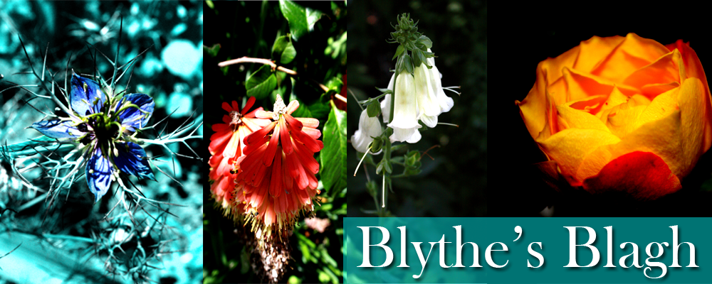 Blythe's Blagh